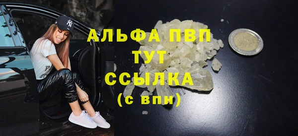 стаф Абаза