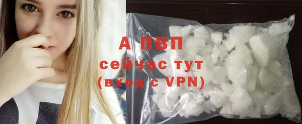 стаф Абаза