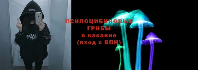 стаф Абаза