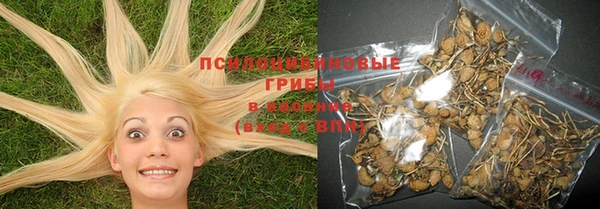 apvp Абинск