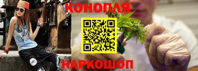 шишки Новокубанск