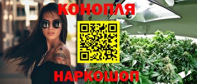 шишки Новокубанск