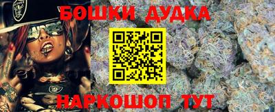 PSILOCYBIN Новодвинск