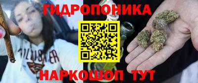 шишки Новокубанск