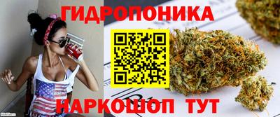 шишки Новокубанск
