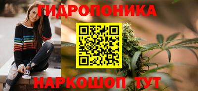 PSILOCYBIN Новодвинск