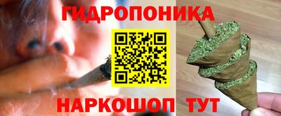 PSILOCYBIN Новодвинск