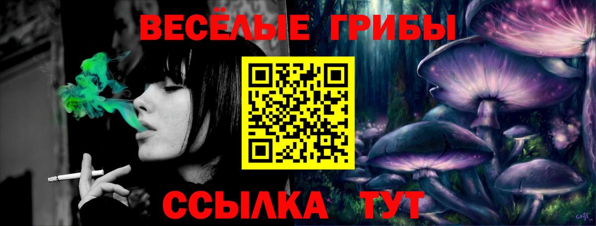Шарыпово  Псилоцибиновые грибы прущие грибы  Вход с VPN 